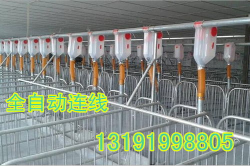 大小型猪舍均可安装自动化下料线，提升养猪效率与经济效益