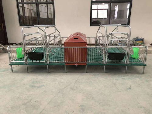 定做母猪产床 猪用复合板单双体分娩床与保育床两用定位栏的优势与应用