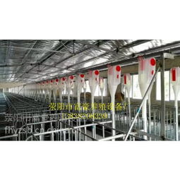 中国养猪设备供应商与价格分析