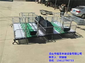 复合板母猪产床及其在现代化养猪中的应用