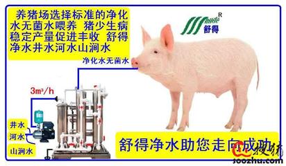 精品绿色环保水处理设备助力养猪场高效机械化养殖