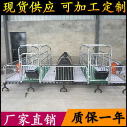 养猪设备升级 从母猪产床到全复合板双体产床，助力高效养殖