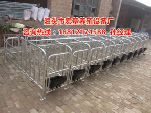 吉林养猪设备配套 母猪限位栏价格解析与猪用定位栏厂家批发指南