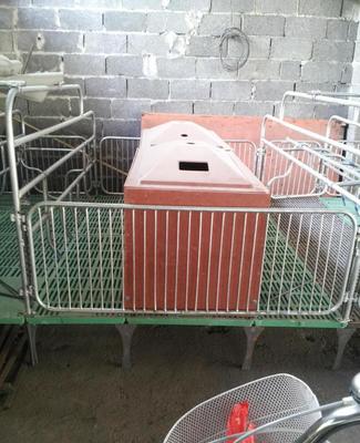 广西养猪设备产业聚焦 柳州饲料车运料车的创新应用与市场拓展