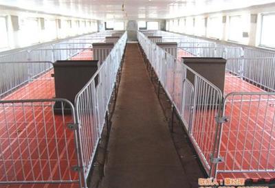 全面解析养猪设备 提升养殖效益的关键工具