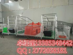 现代养猪设备 提升养殖效益与动物福利的关键