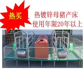 欧牧养猪设备 探析双体母猪产床优劣与市场报价误区