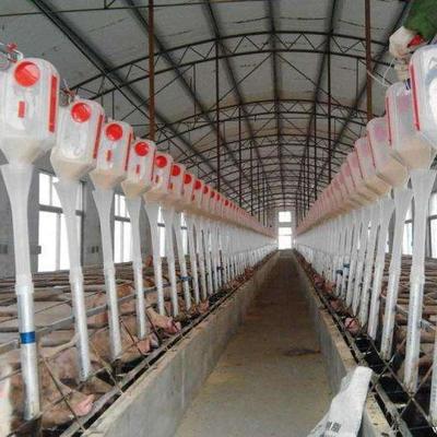 牧帮农牧 专业养殖设备供应商，助力现代化猪场高效运营