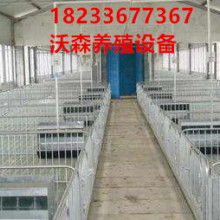 开心养猪设备 现代化养猪的高效与趣味融合