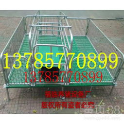 【泊头福临养猪设备厂批发养猪设备-母猪产床-小猪保育床母猪定位栏】- 