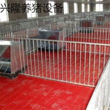 兴隆养猪设备厂 为现代养猪业提供高效、智能解决方案